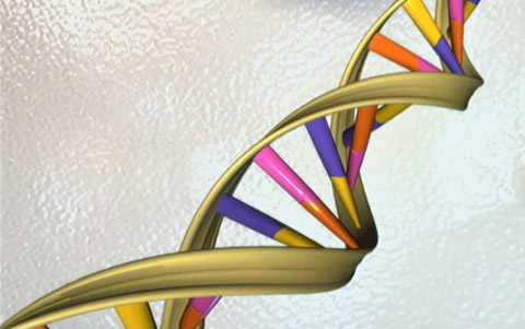 illustration of DNA