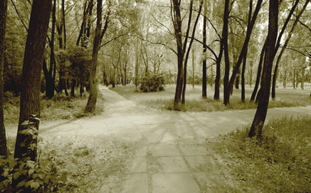 sepia color photograph of roads crossing paths