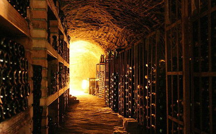 wine cellar