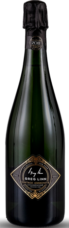 2017 Vintage Ammonite